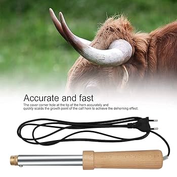 むしろ使うのが難しい壺 0000000000502_6Sk0Ezt.jpg