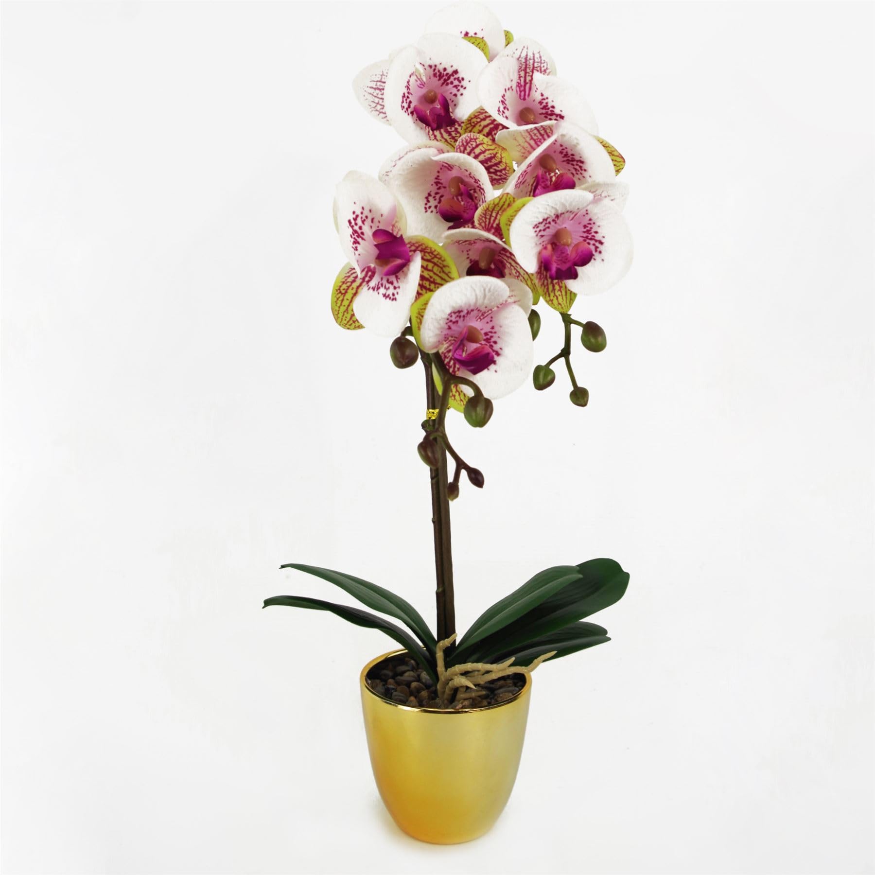 Leaf Design UK Realistic Artificial Orchid Flower Display in Pot