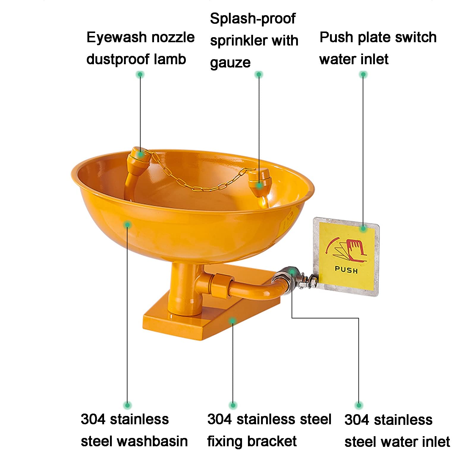 Station de Lavage oculaire Murale en Acier Inoxydable avec Double tête de pulvérisation (31 cm/12,2 Pouces)