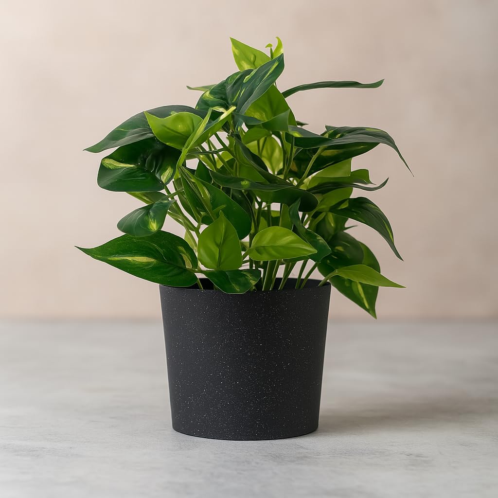 Flora Planet Artificial Table Top Plant with Black Pot | Small Faux Indoor Desk Plant for Home & Office Décor | Low Maintenance Decorative Item – Multiple Colors (Height ~30 cm) (Green)-image-20