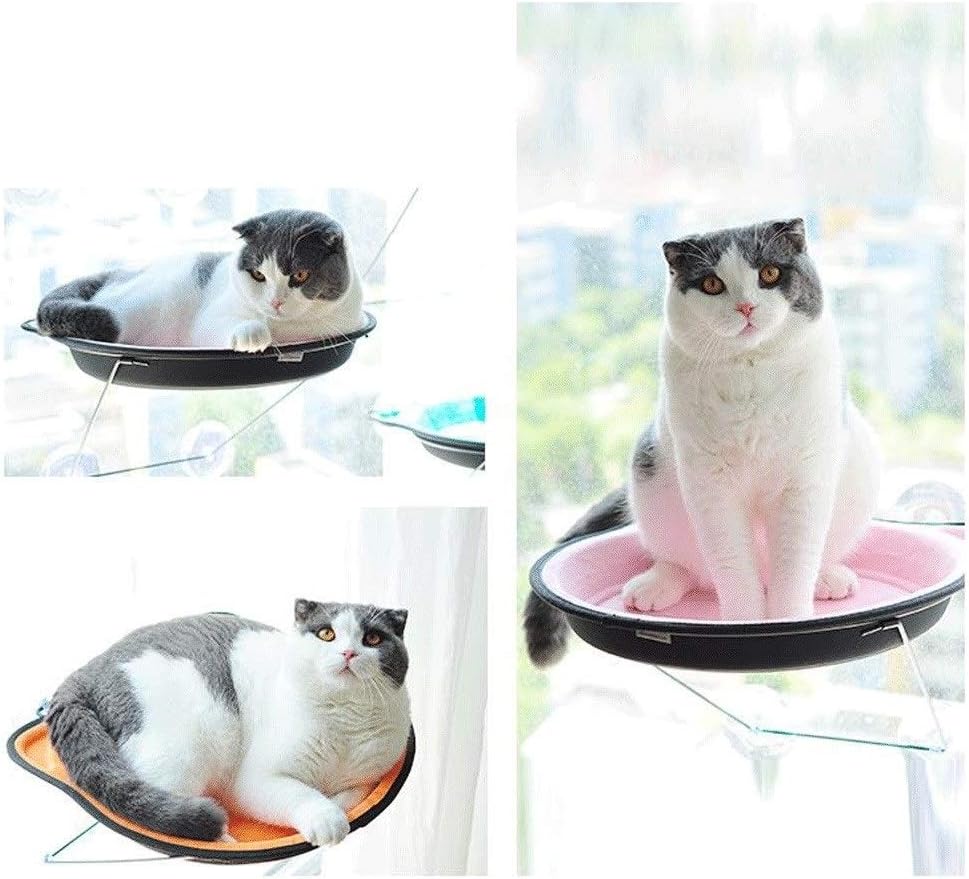 Pet Hammock Cat Hammock Glass Suction Cup Window Seat Saves Space Easy to Assemble Safe and Durable Cat Litter Pet Hammock (4 Colors) Pet Beds (Color : B) (A)
