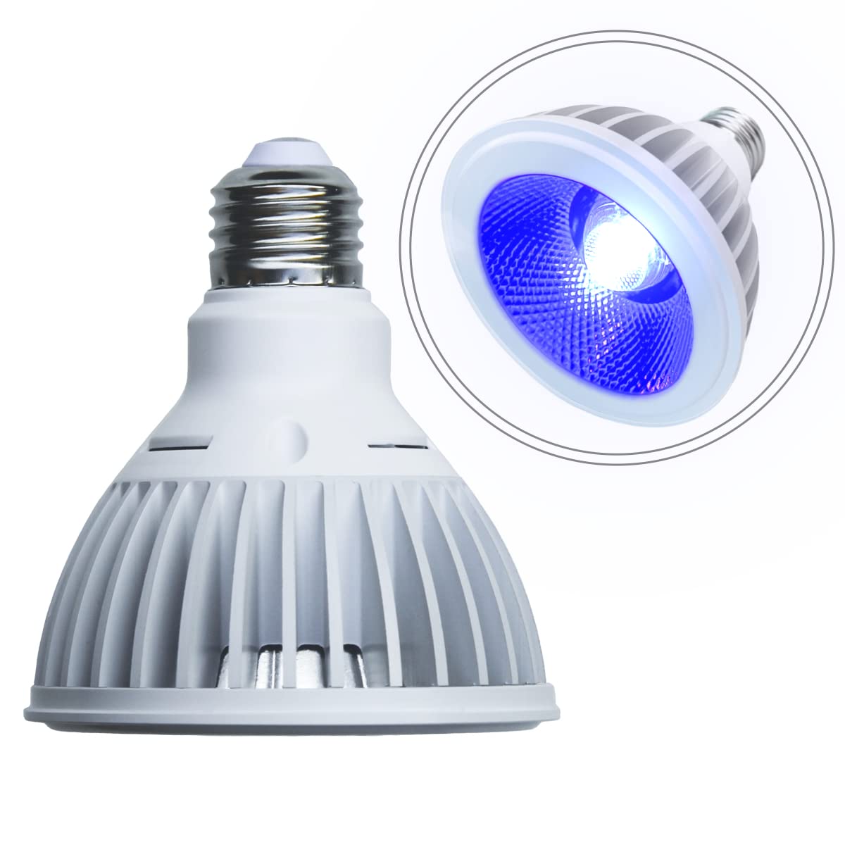 サンゴ蛍光反応促進アクアリウム用