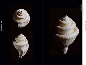 61m7P0iNVDL._AC_UF350,