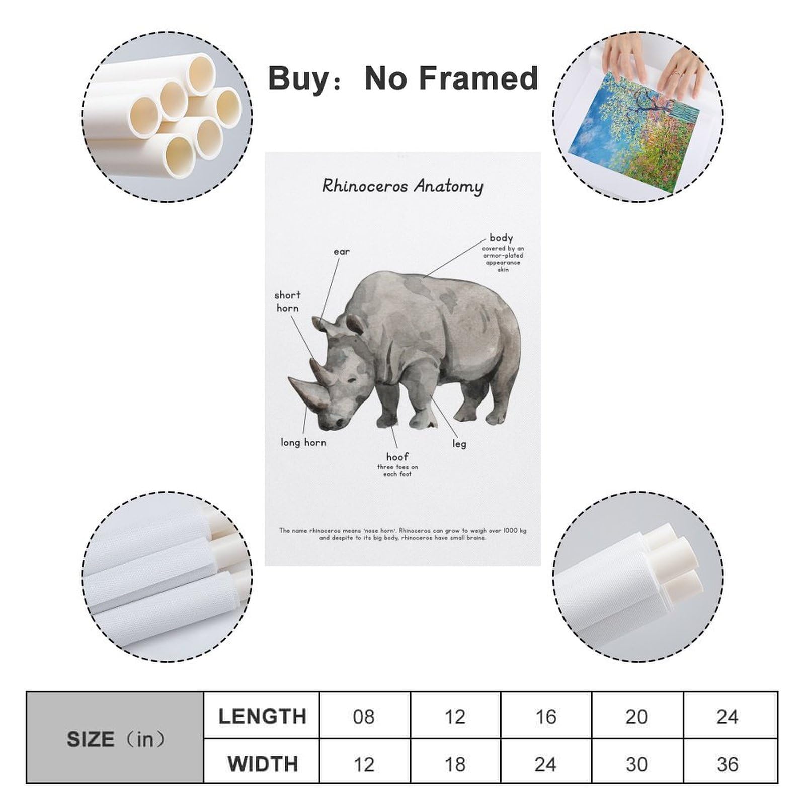 Carnotaurus Dinosaurier Poster 20x30 Cm | Leinwanddruck Für Zimmerdekoration | Räuberischer Dino