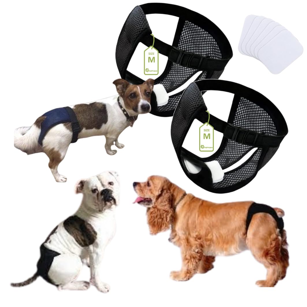 Pañales Perro Hembra.Bragas Perras Menstruales-Braga Celo Hembra-Braguitas Perro Celo-Braga Perro Celo Hembra-Bragas Perros Celo Hembra-2 uds Incluye 6 Toallas Sanitarias, Talla M, Negro.