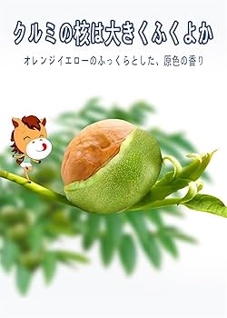 乾燥くるみ皮混材、2kg セット。　7-06 乾燥くるみ皮、混材2kgセット。 6-038