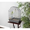 You & Me by Petco Parakeet Scallop Top Cage