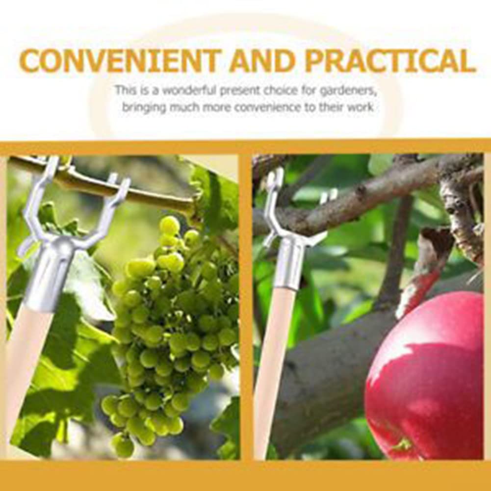 Lot De 30 écarteurs De Branches D'arbres Fruitiers, Support D Membres Des Plantes Pour Une Forte Propagation Des Angles Entrej 94961934