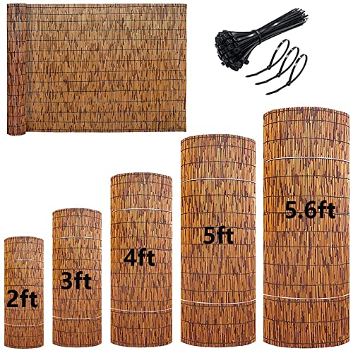 HSPLXYT Natural Reed Fencing, Reed Screen for Garden, Privacy Fence,Bamboo Reed Roll-Up Blind...