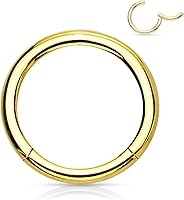 Vista 67 de Forbidden Body Jewelry - Piercing para la nariz de acero quirúrgico 316L con bisagra, 14G, 16G, 18G, diámetro de 15/64, 5/16, 25/64, 15/32 pulgadas