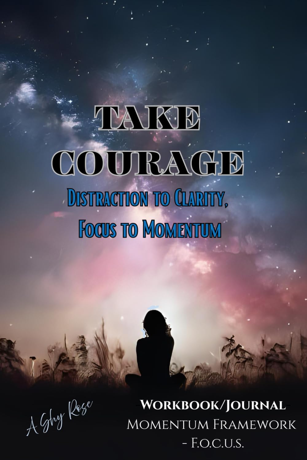 Take Courage: Distraction to Clarity, Focus to Momentum