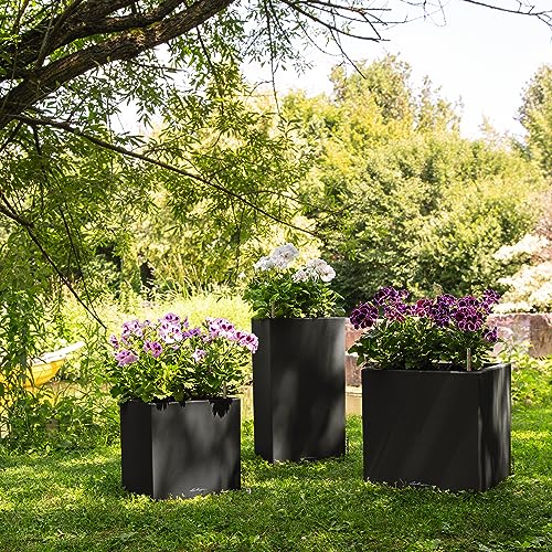 Lechuza Canto Stone 40 Ad Grafite Nera 13622 - 7