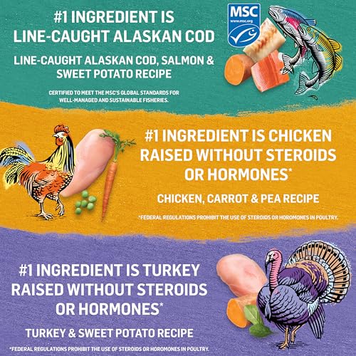 Beyond Grain Free Natural Wet Dog Food, Ground Entree Variety Pack 3 Flavours - 368 g Can (6 Pack) image 2