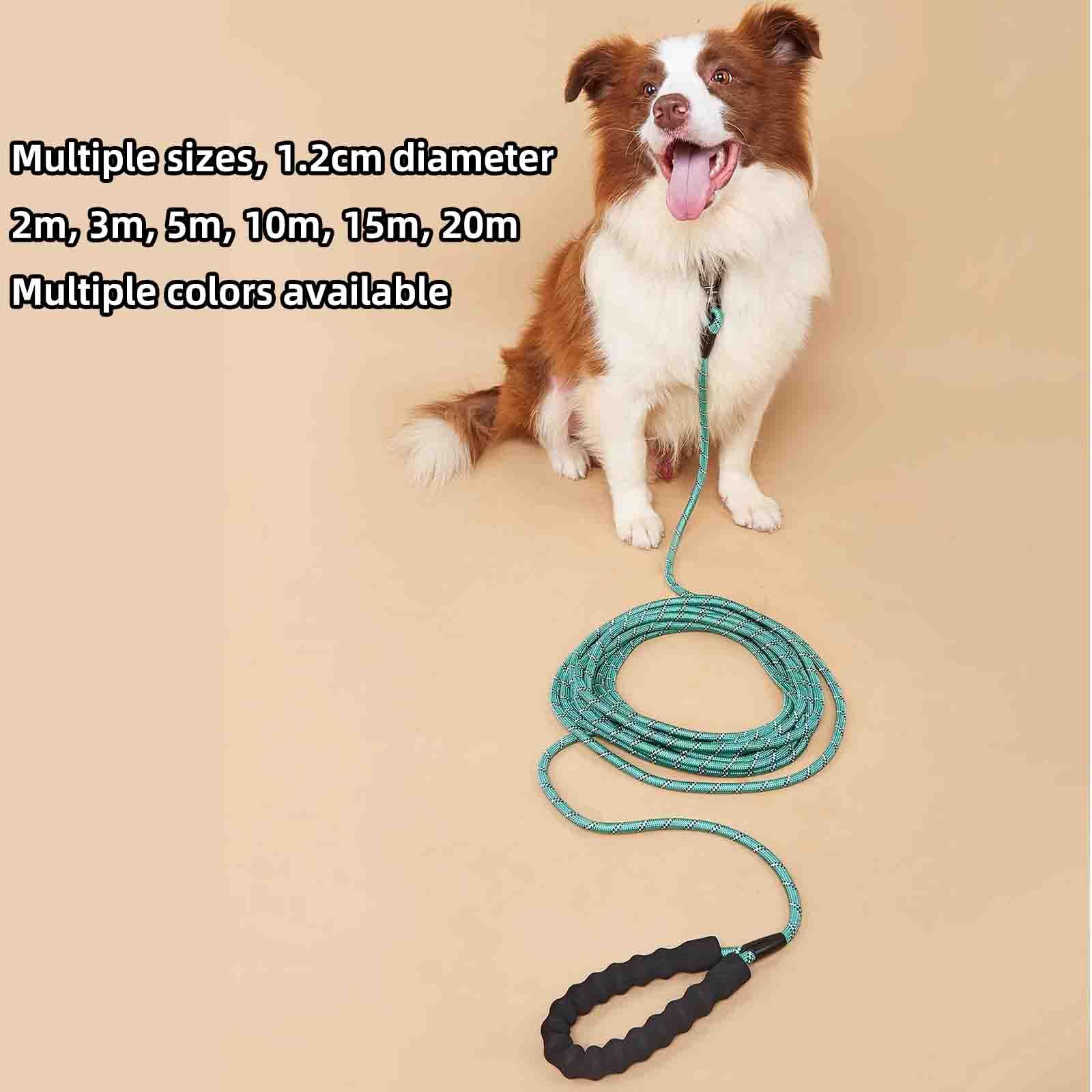 Guinzaglio Per Cani Taglia Grande Addestramento Guinzaglio Cane (Black,2m/ 0.8cm)
