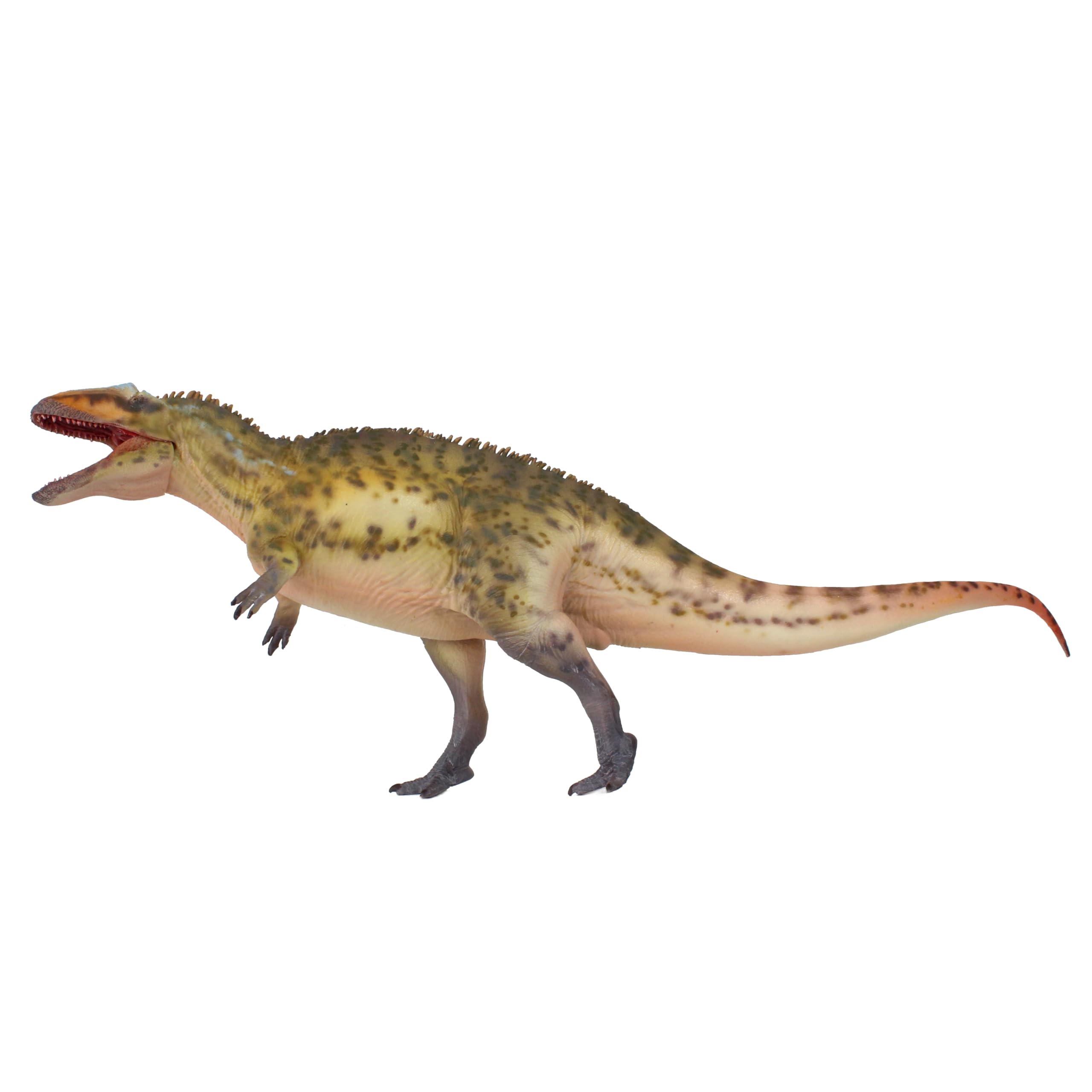 Acrocanthosaurus 1:35 AMITD réplique dinosaure réaliste sans défaut
