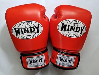 WINDY ボクシンググローブ 8 oz BGVH 茶色ダークレッド?グローブ Amazon.co.jp: WINDY ウィンディ キック ボクシンググローブ