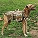 TCS Dog Tactical Harness (XL) – 1000D Nylon Molle Vest Includes Leash | 3 Pouches | 3 Patches | Collapsible BPA Free Bowl