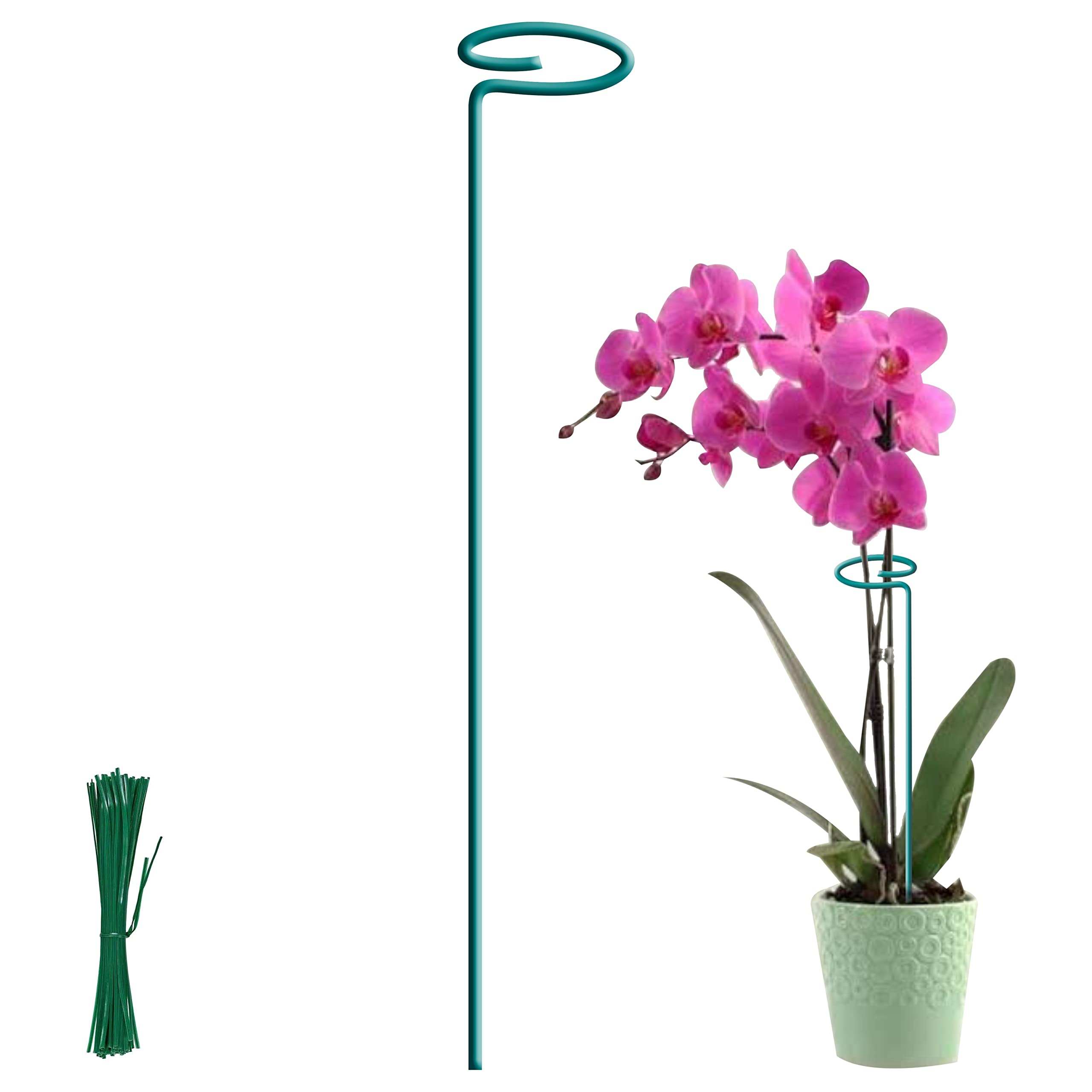 BLOOMAX® 18 inch, Single Stem Metal Plant Support Stakes with Amaryllis Plant Support Rings for Big Size Plants with Free Twist Ties (Color - Teal Green / 18 inch, Pack of -12) (B0BNDSQ4JY) Amazon Price History, Amazon Price Tracker
