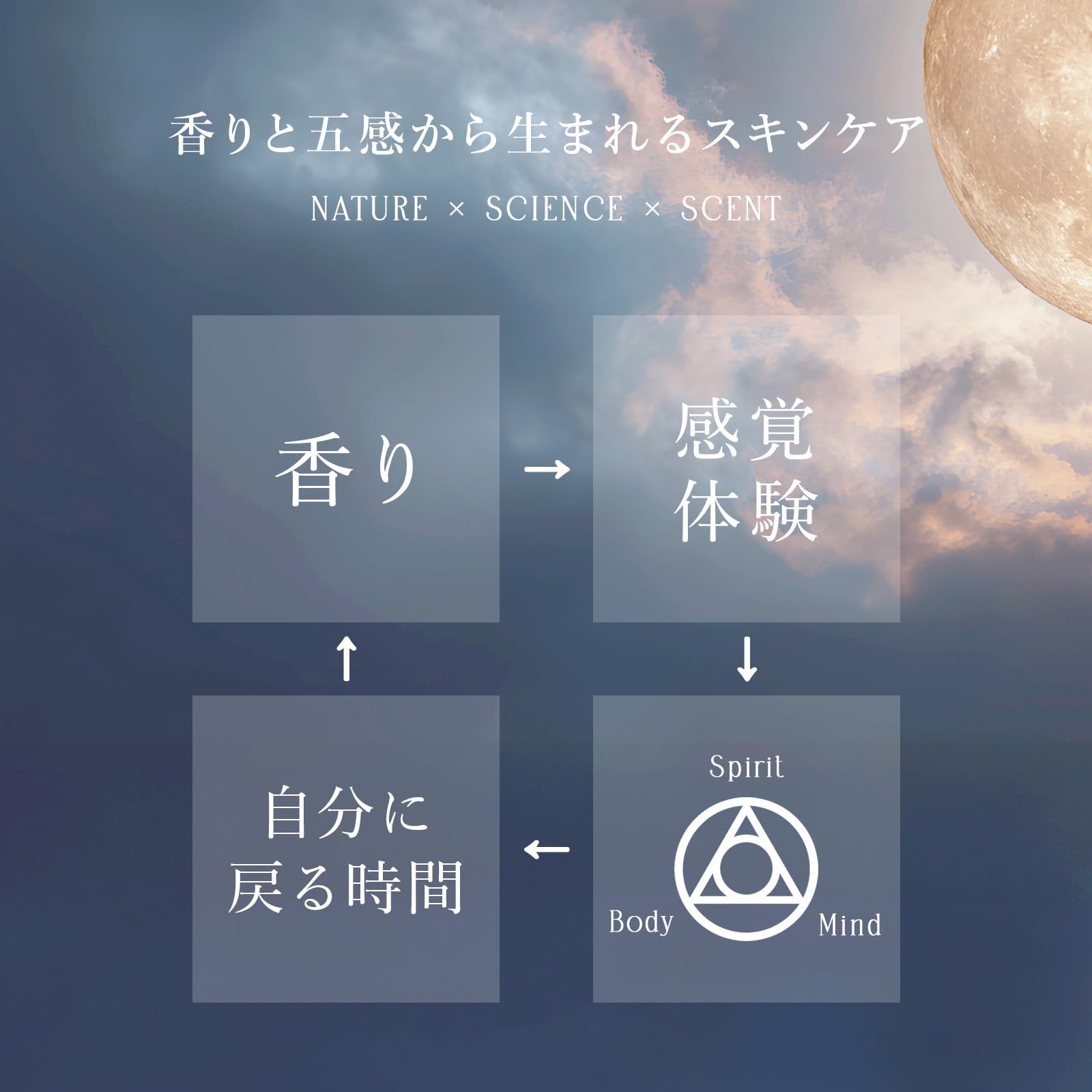 Amazon | 【夏、ベタつかずうるおう】 Radiance Dew Cream VENUS 45g
