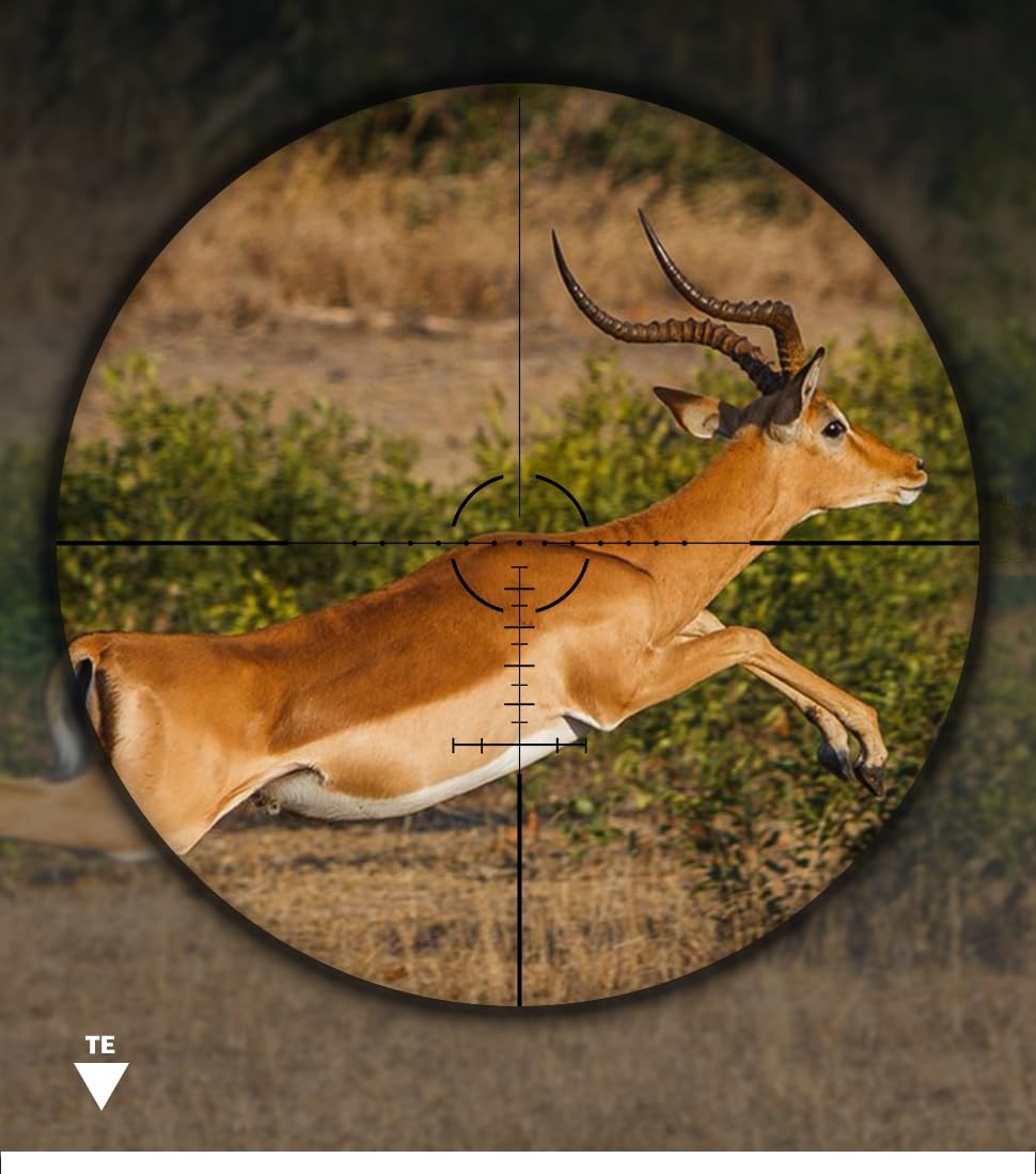 SPINA OPTICS 4-24X56 SF Mire ottiche da caccia Reticolo in vetro con torrette laterali di parallasse Ripristino Tubo da 30 mm Riflescope