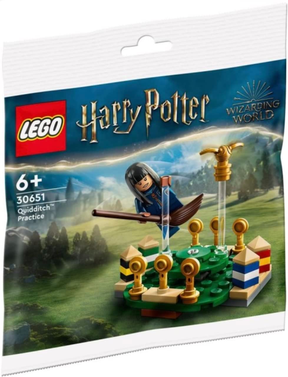 Lego Harry Potter Set: Hogwarts Wappen - Hausbanner Hufflepuff (76412) + Quidditch Training (30651), für Kinder ab 9 Jahren