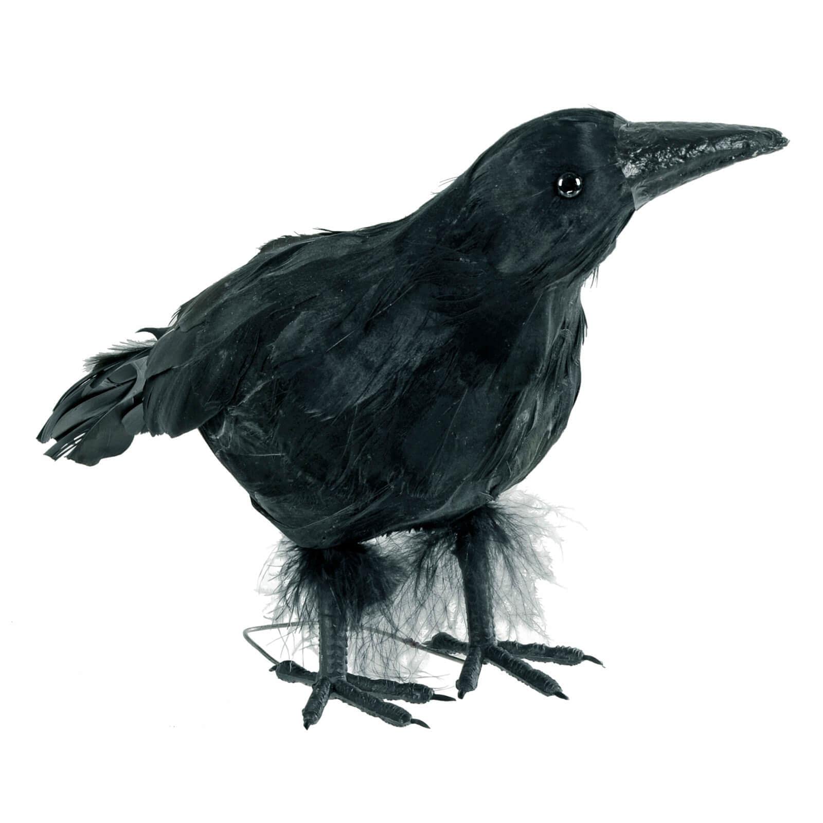 Cackle & Co Black Crow Halloween Decoration Realistic Feathers Bird Raven Party Prop 10" 25Cm
