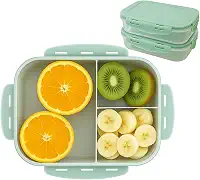 Pote Marmita Hermetico Com Divisorias Microondas Freezer 1 Litro Resistente