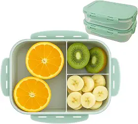 Pote Marmita Hermetico Com Divisorias Microondas Freezer 1 Litro Resistente
