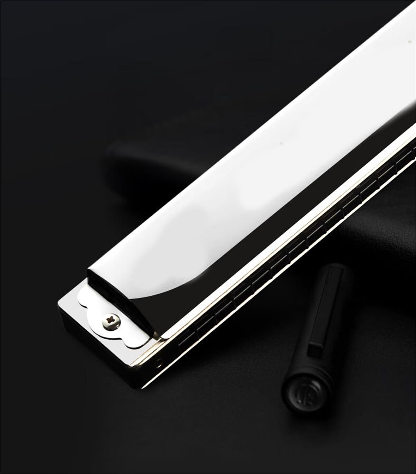Harmonijka Ustna 24 Otworowa Harmonijka Diatoniczna C Dur Instrument Wykonawczy Srebrny