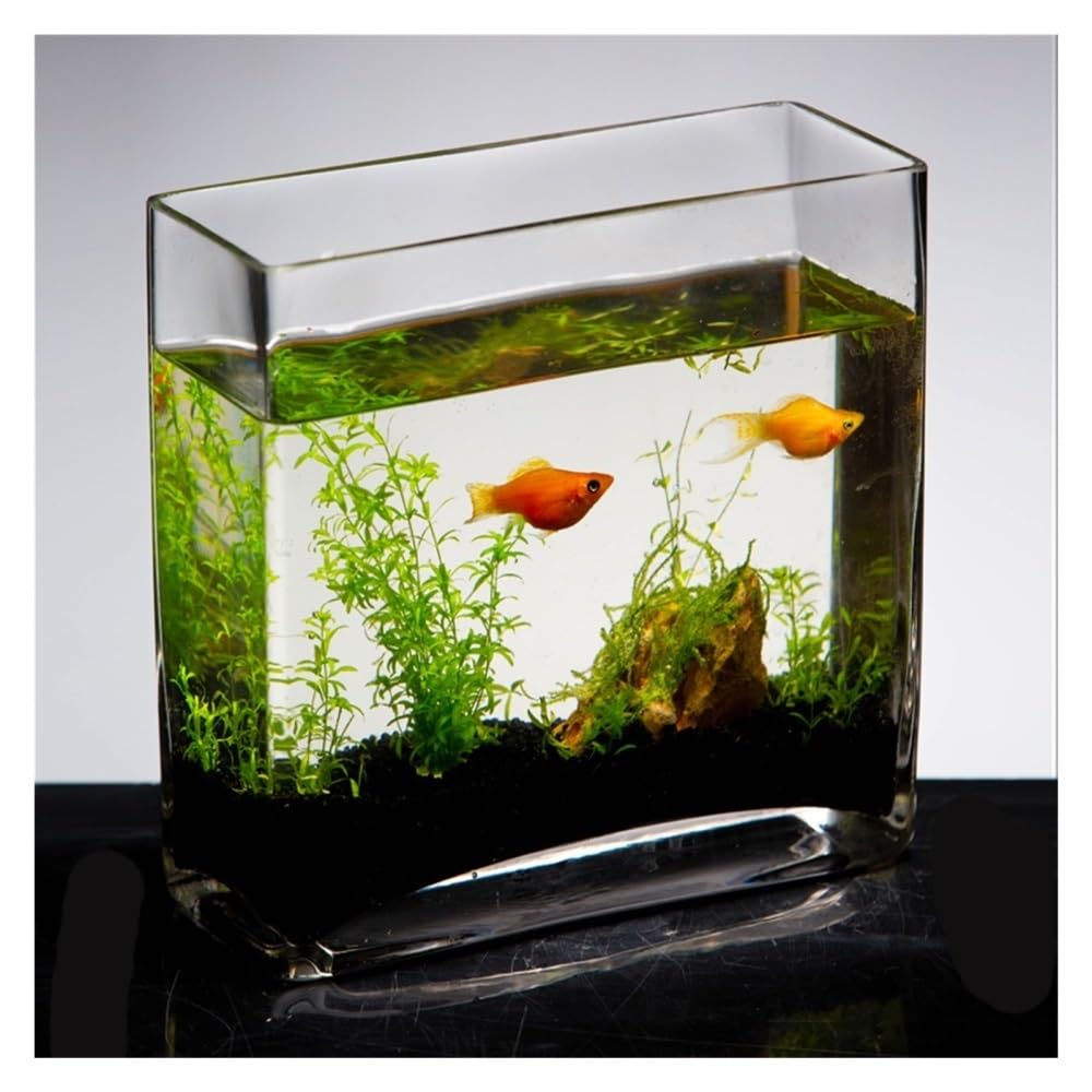 Aquarium Rechteckiges Glasaquarium for das Wohnzimmer, kleines Aquarium, transparente Tischvase