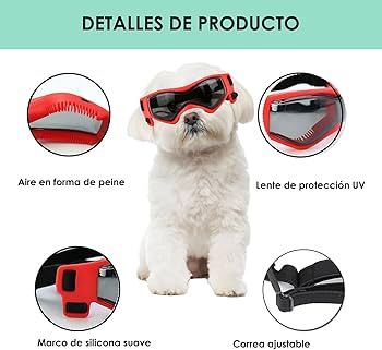 los perros necesitan protección uv