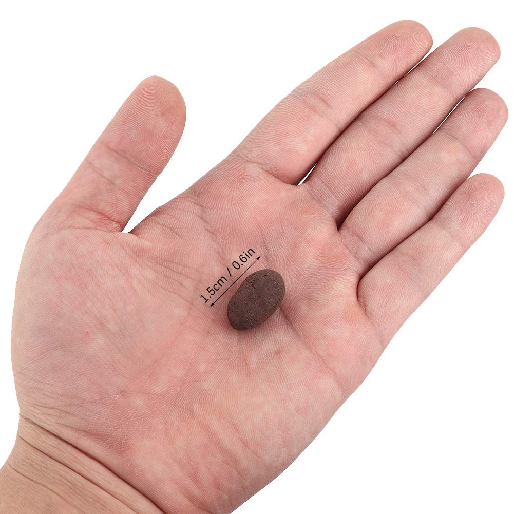 Yosoo Hydroponic Clay Pebbles Growing Media Galets d'argile anionique pour système hydroponique Jardin d'herbes d'intérieur pour laitue, Menthe, Persil