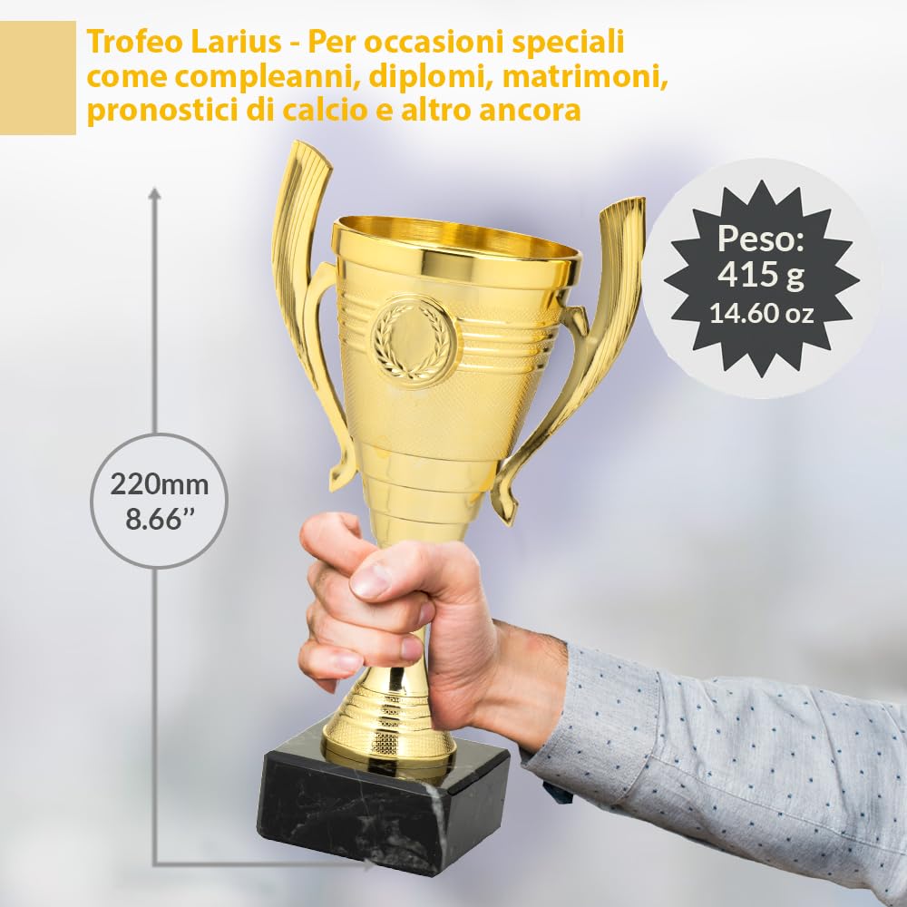 Larius Coppa (22 cm, 415 g), elegante trofeo universale con base in marmo, personalizzabile, ideale per sport, scuola, concorsi e premi - B3