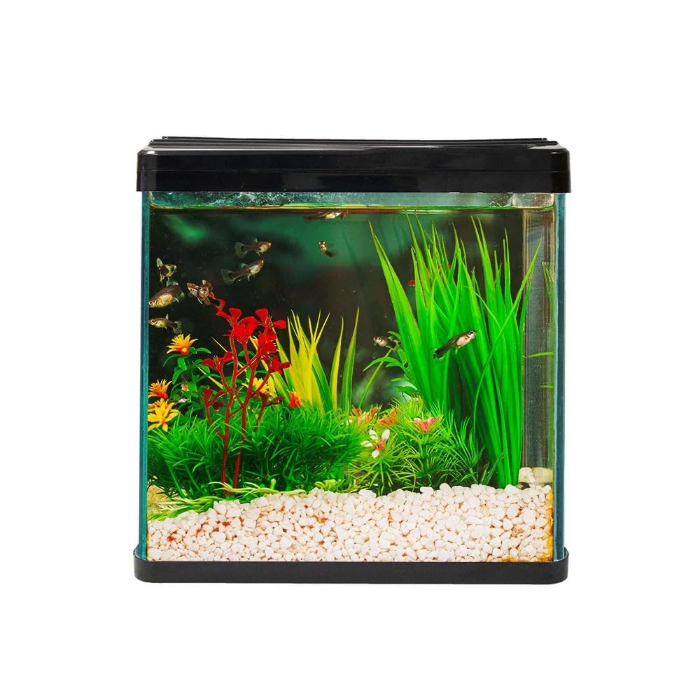 Swell Aquaventure Glass Aquarium, 14L, 30cm (Black - Without Heater)