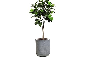 Indoor Concrete Planter, Large Round Gray Cement Container, 12.3" H
