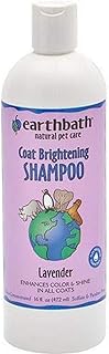 Earthbath All Natural Light Color Coat Brightener Shampoo, 16-Ounce