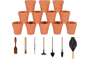 Nilos 3-Inch Terracotta Pots: Ideal for Plant Displays, Indoor and Outdoor Décor