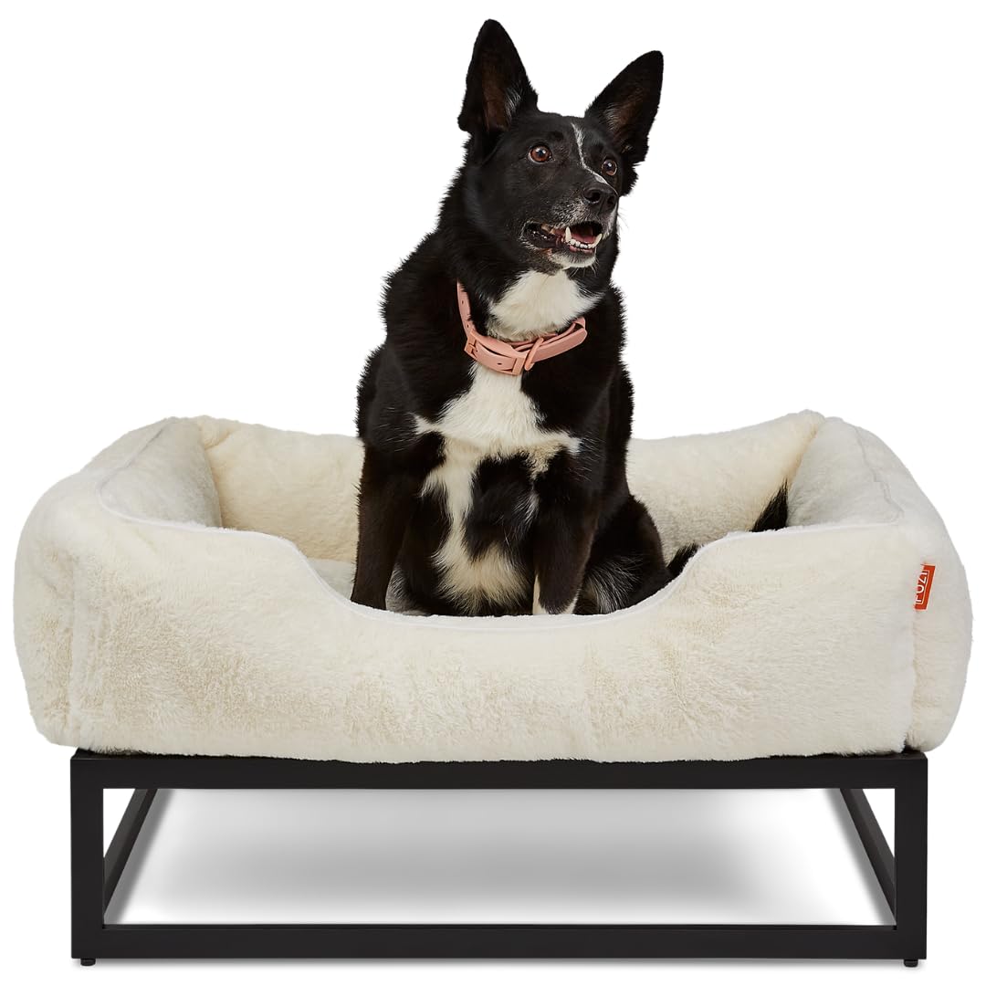 FUZI Elevated Dog Bed Large, Luxury Raised Dog Beds, Removable and Machine Washable Bed Cover, Indoor/Outdoor Orthopedic Pet Bed, Large 35.6x28.5x18 Soft White & Black Base