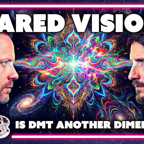 DMT Dimensions: It&rsquo;s Not a Hallucination