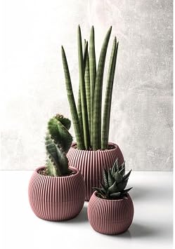 KRS Mercan Dekoratif Kakt s Sukulent Plastik Saks  Tak m  3l  Set Soft Pembe