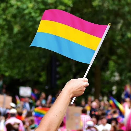 Miniatura 5 de Bandera pansexual con bandera, pequeña mini banderas de mano del orgullo pansexual en palos para desfiles, fiestas, festivales y decoraciones