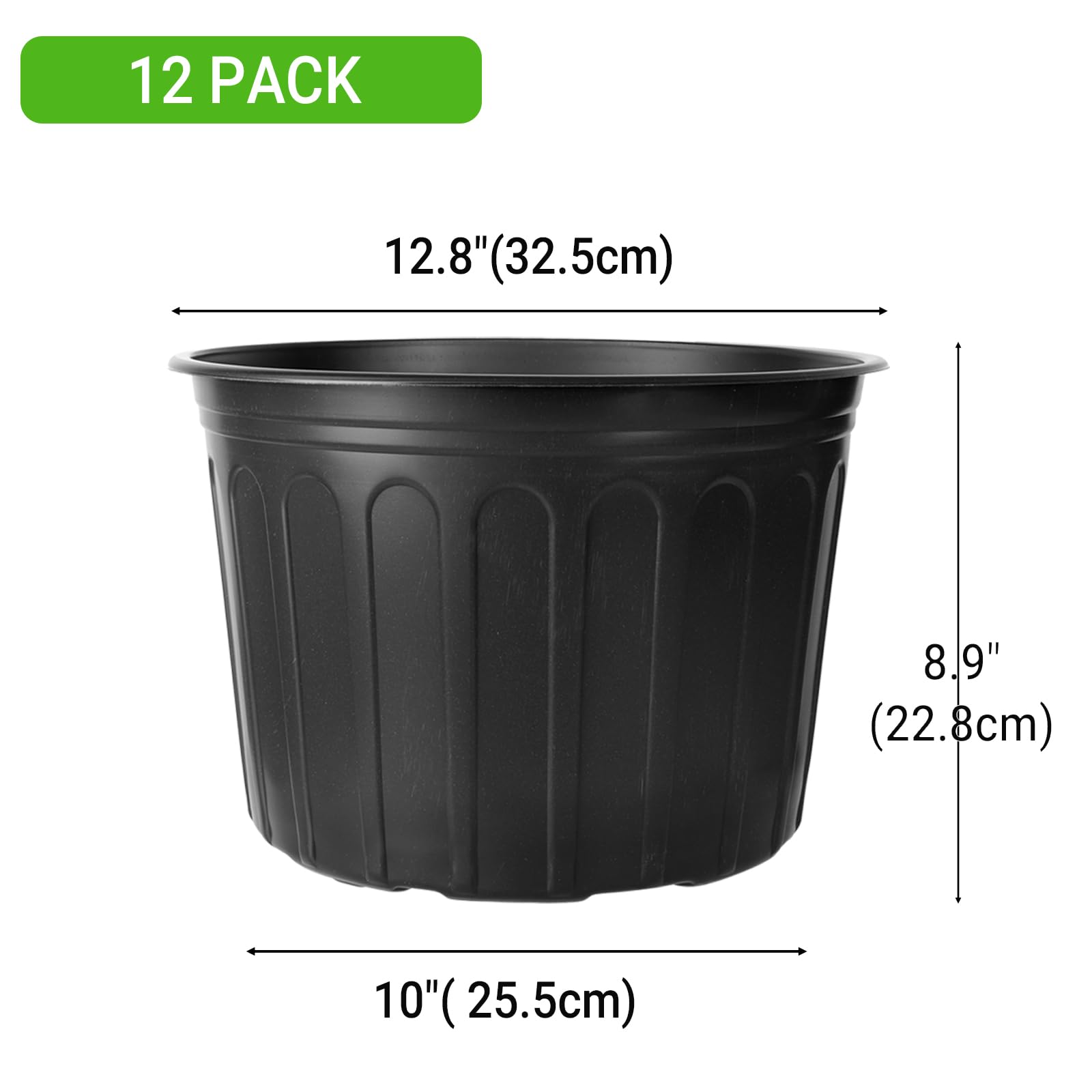 https://m.media-amazon.com/images/I/61m8eEBlUoL.jpg