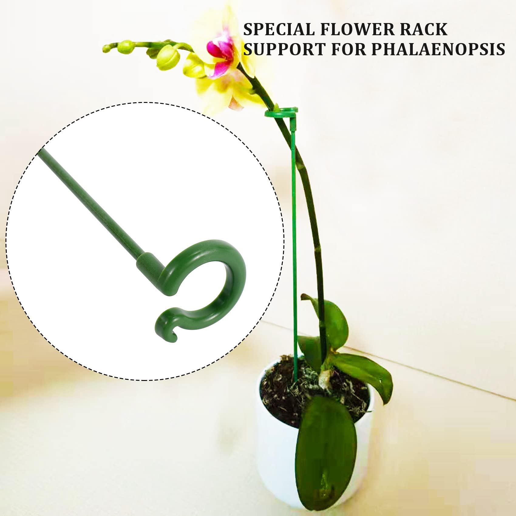 30 Picchetti Per Piante Da Interno 3 Dimensioni: Supporti A Stelo Singolo Per Orchidee, Rose, Phalaenopsis, 17/27/37 Cm - 3