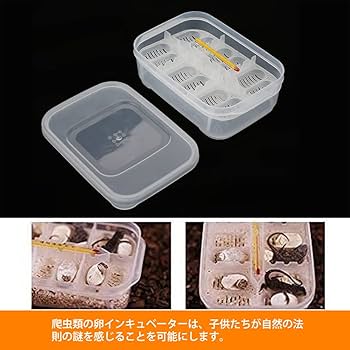 孵化器、ケージ 孵化器、ケージ