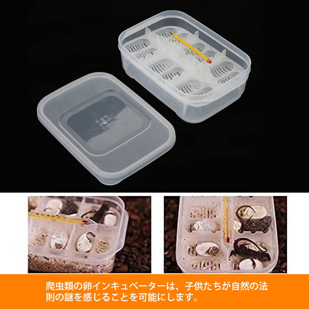 Amazon | 爬虫類専用孵卵器 12枚 卵インキュベータートレイ 孵卵