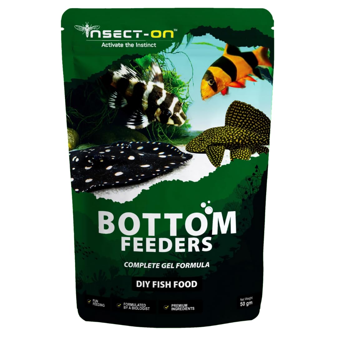 Ynsect-On India’s First Gel Based Food for Bottom Feeding Fishes - 50 g | Complete DIY Gel Diet for Fresh & Fun Feeding | Natural Bugs & Insect Based Formula for Boosted Growth & Immunity (B0CKF6VMPL) Amazon Price History, Amazon Price Tracker