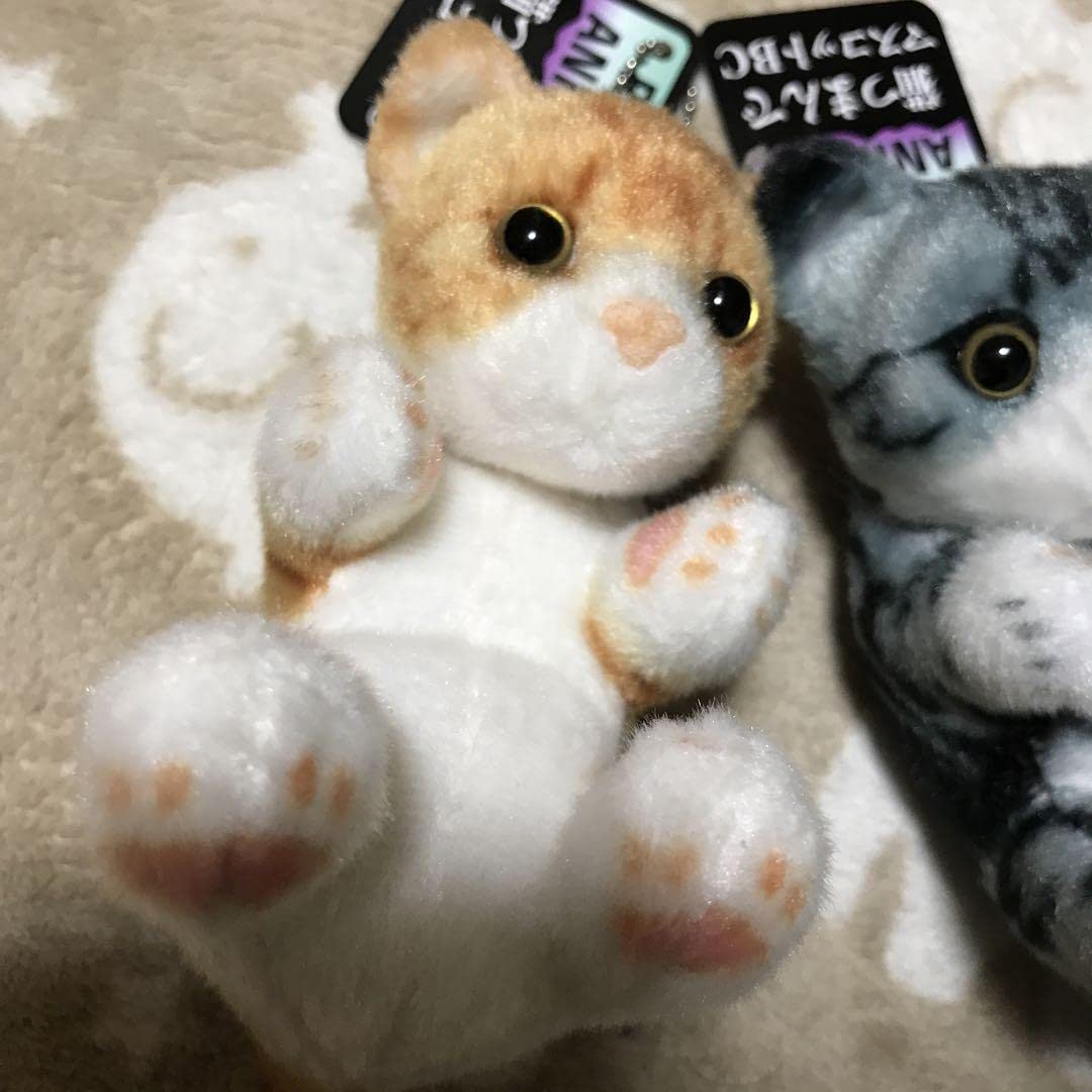 Amazon.co.jp: 猫つまんでマスコットBC 2匹セット : ペット用品