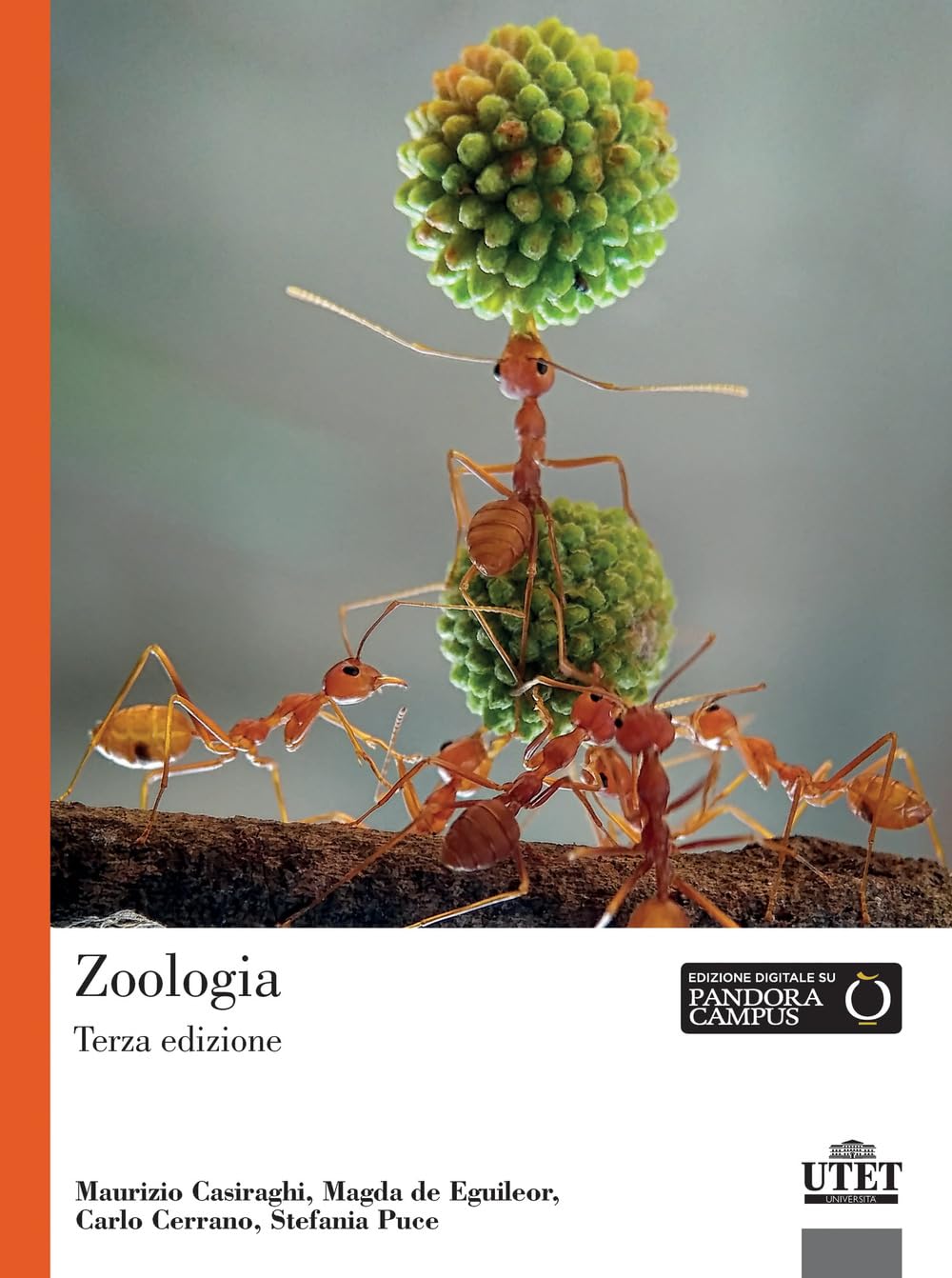Zoologia