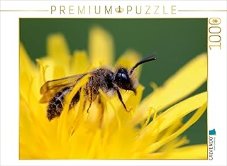 Comprar Un diseño del calendario de abejas – Divertido jardín habitantes 1000 piezas Puzzle horizontal (CALVENDO animales)