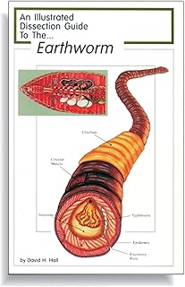 Anatomy Lab Soft Cover Earthworm Dissection Guide Book